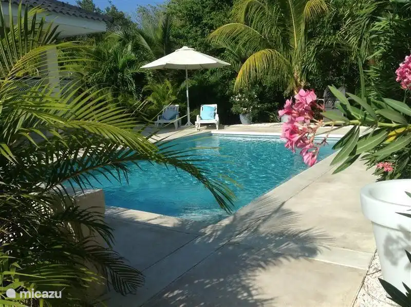piscine dans un cadre tropical avec beaucoup d'intimité