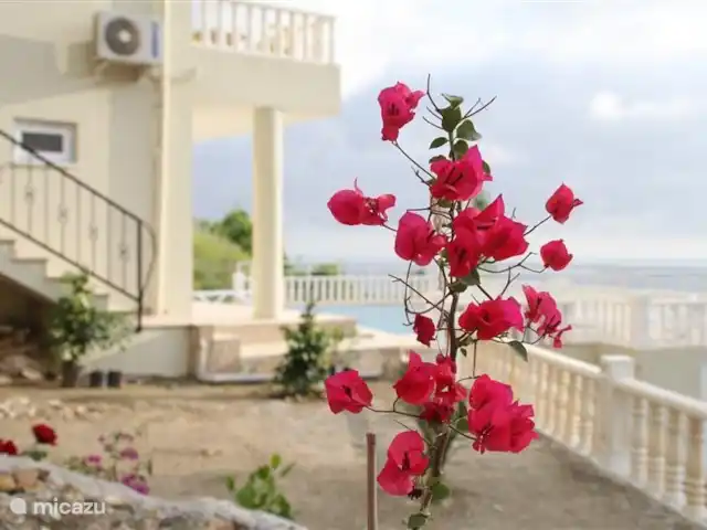 Villa Kestel | Turquie, Riviera Turque, Alanya - villa Villa Kestel