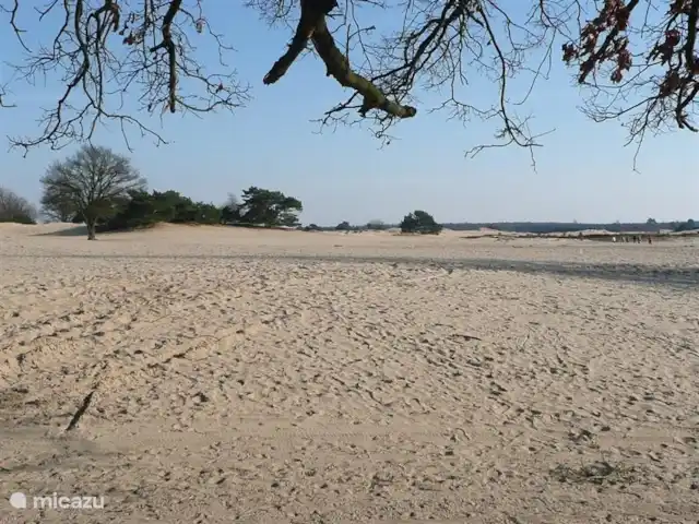 Appelscha 'De Griene Romte' en Países Bajos, Frise, Appelscha - casa vacacional ¡Dunas calvas! Un lugar único en el Parque Nacional Het Drents Friese Woud