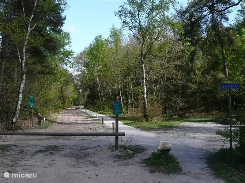 Wandern / Radfahren / Reiten / Mountainbiken, im Nationalpark Het Drents Friese Wold gibt es viele Routen für jedermann. Im Juli Drentse Fiets4Daagse.