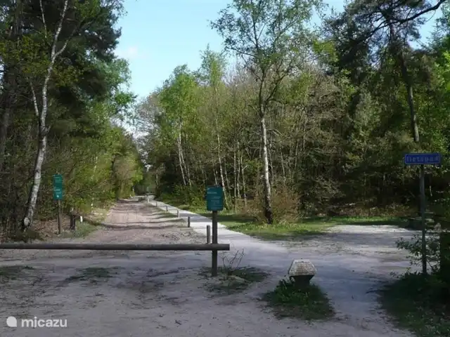 Appelscha 'De Griene Romte' en Países Bajos, Frise, Appelscha - casa vacacional A pie, en bicicleta, a caballo o en bicicleta de montaña, hay muchas rutas para todos en el Parque Nacional Het Drents Friese Wold. En julio Drentse Fiets4Daagse.