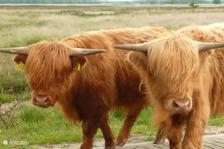 Sehr warm garantiert willkommen.