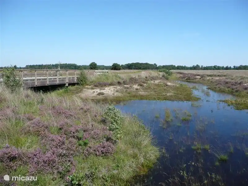 Der erste Schmetterling Reserve in den Niederlanden: Gehen und Radfahren als dieser einzigartigen Doldersummerveld in