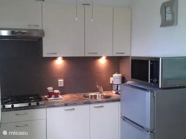 Appelscha 'De Griene Romte' en Países Bajos, Frise, Appelscha - casa vacacional Cocina abierta generosamente equipada con nevera grande, congelador, lavavajillas, estufa extra espaciosa, etc.