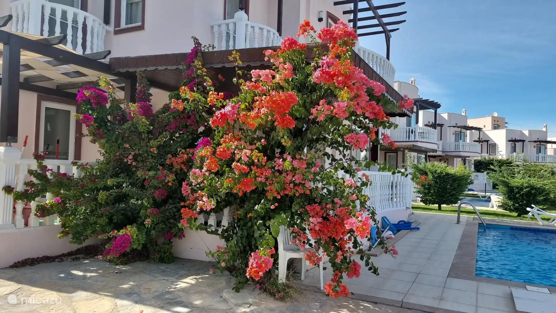 Schön, wenn alles blüht! Fühlen Sie sich frei, ein paar Äste in einer Wasserflasche auf den Tisch zu stellen.