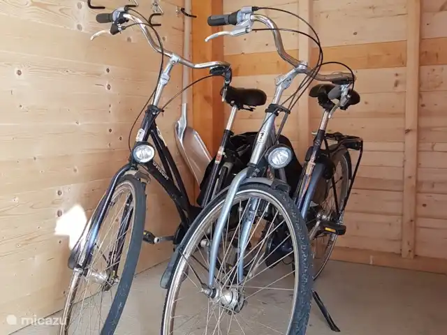 Alpenruhe | Autriche, Carinthie, Kötschach-Mauthen - maison de vacances 2 vélos pour femmes (1 avec des sacoches spacieuses) à l’usage des locataires