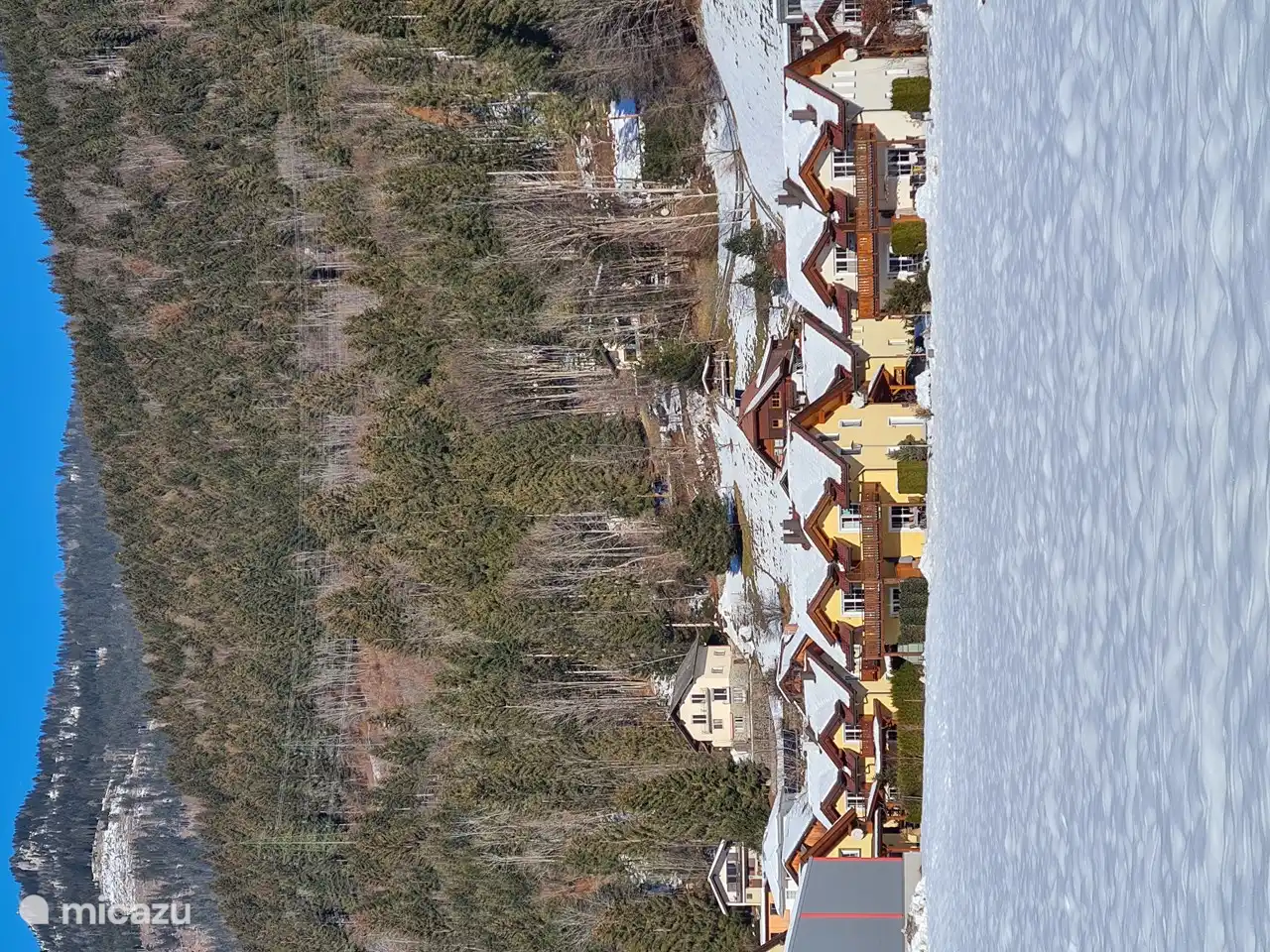 On the other side of this field you can see our house 