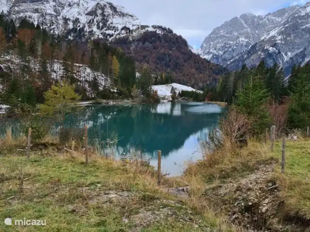 Alpenruhe | Autriche, Carinthie, Kötschach-Mauthen - maison de vacances Grünsee en automne est presque au sommet du col de Plöckenpass