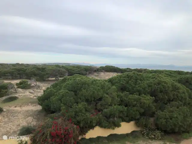 Casa cerca de dunas y mar en La Mata en España, Costa Blanca, La Mata - casa vacacional Vista desde la azotea.