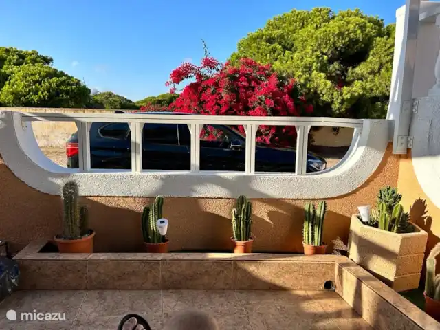 Casa cerca de dunas y mar en La Mata en España, Costa Blanca, La Mata - casa vacacional Terraza frontal con hermosos cactus y cerca de separación nueva.