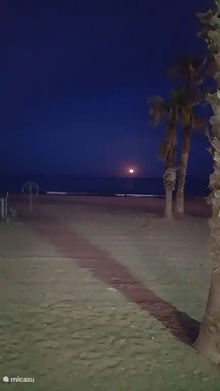 beau lever de lune sur la plage