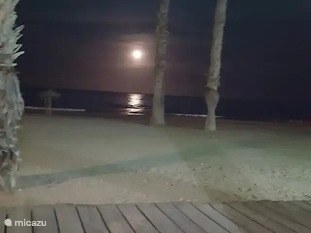 Casa cerca de dunas y mar en La Mata en España, Costa Blanca, La Mata - casa vacacional otra hermosa foto de la luna