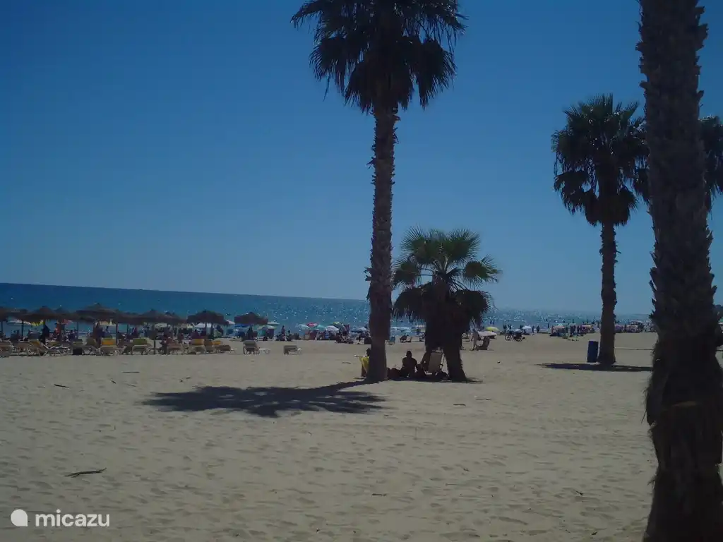 s'amuser sur la plage