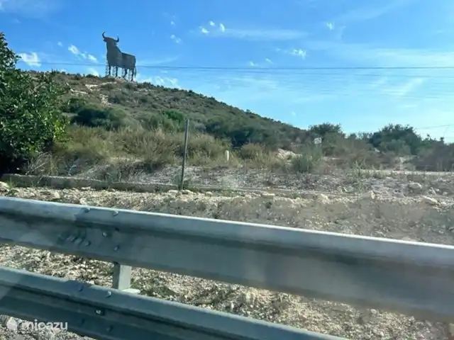 Casa cerca de dunas y mar en La Mata en España, Costa Blanca, La Mata - casa vacacional Este precioso toro nos dice que hemos llegado a España.