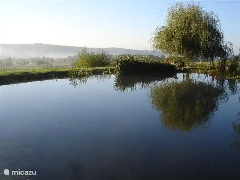 Our lake early in the morning