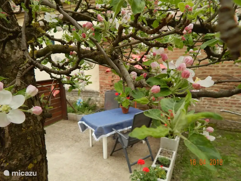 Die Terrasse, ein schöner Platz unter dem Apfelbaum.
