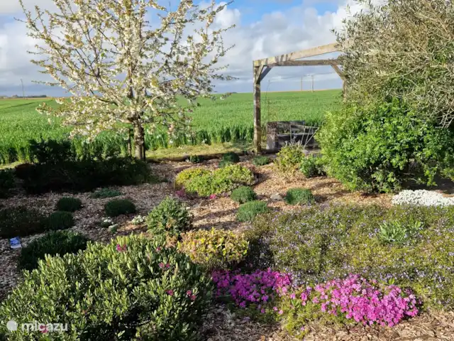 Location de vacances Le Clos Robert | France, Vendée, Longeville-sur-Mer - maison de vacances Le jardin