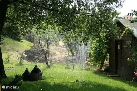 We ask our guests the plants to provide water as the long dry