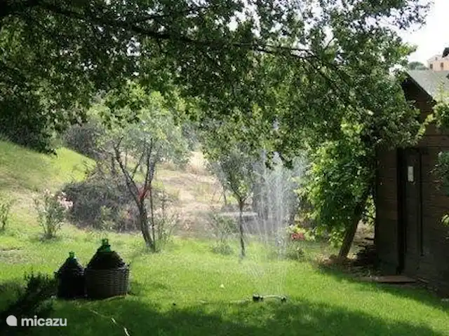 Casa d'Oro | Italie, Marche, Corinaldo - maison de vacances Nous demandons à nos clients d'arroser les plantes lorsqu'elles sont sèches pendant une longue période