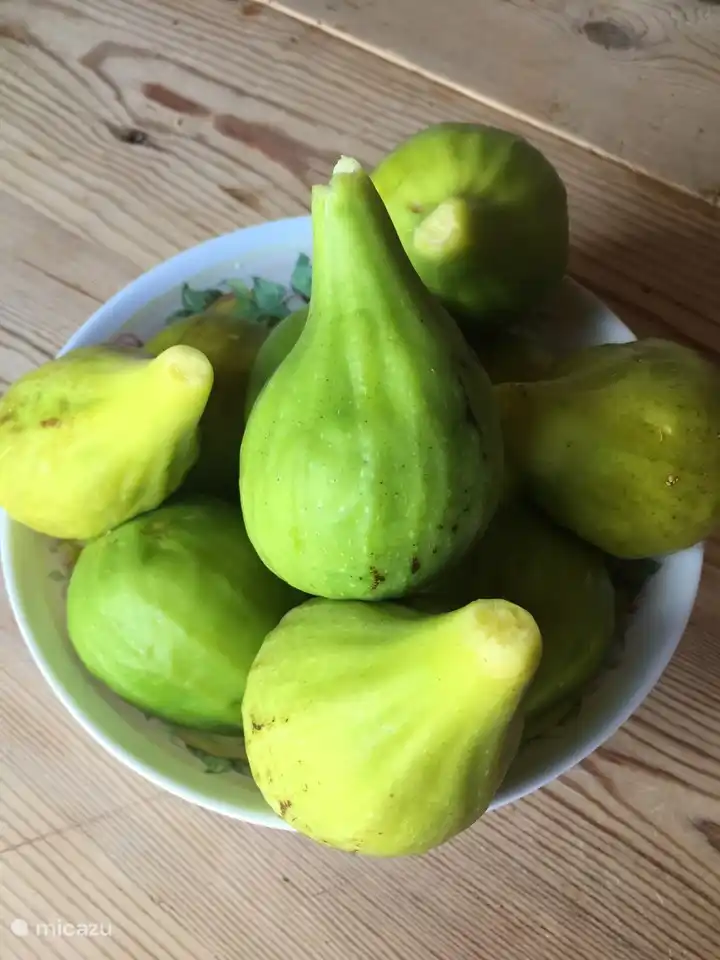 Fresh figs from our own garden