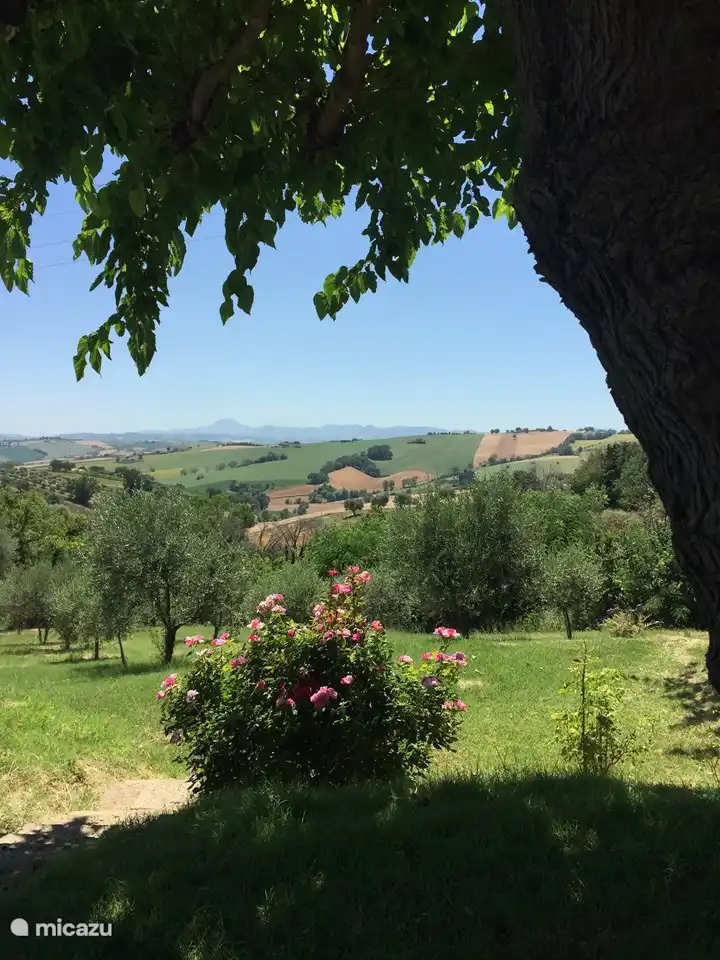 Endless view from the terrace