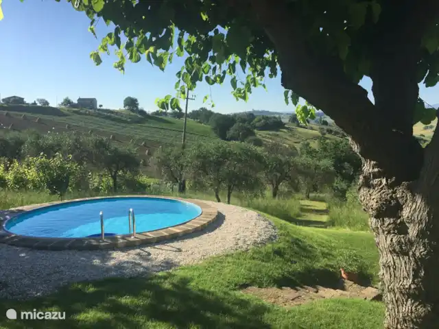 Casa d'Oro | Italie, Marche, Corinaldo - maison de vacances Nagez ou flottez sur un matelas pneumatique. Rêver de la vue et des distances.