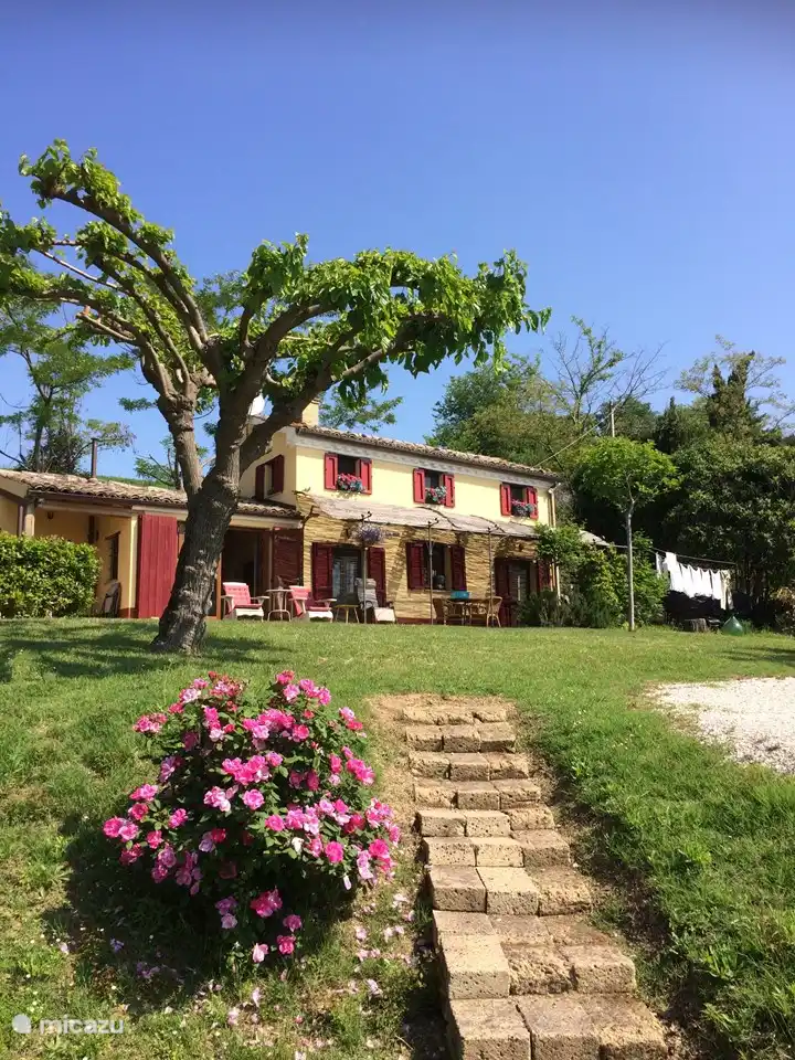 There is a fragrant rose bush along the stairs to the sun terrace