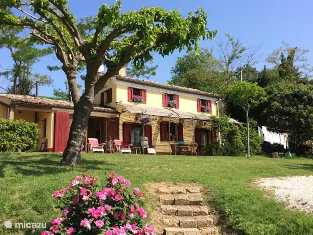 Casa d'Oro | Italie, Marche, Corinaldo - maison de vacances Le long des marches menant à la terrasse ensoleillée se trouve un rosier parfumé