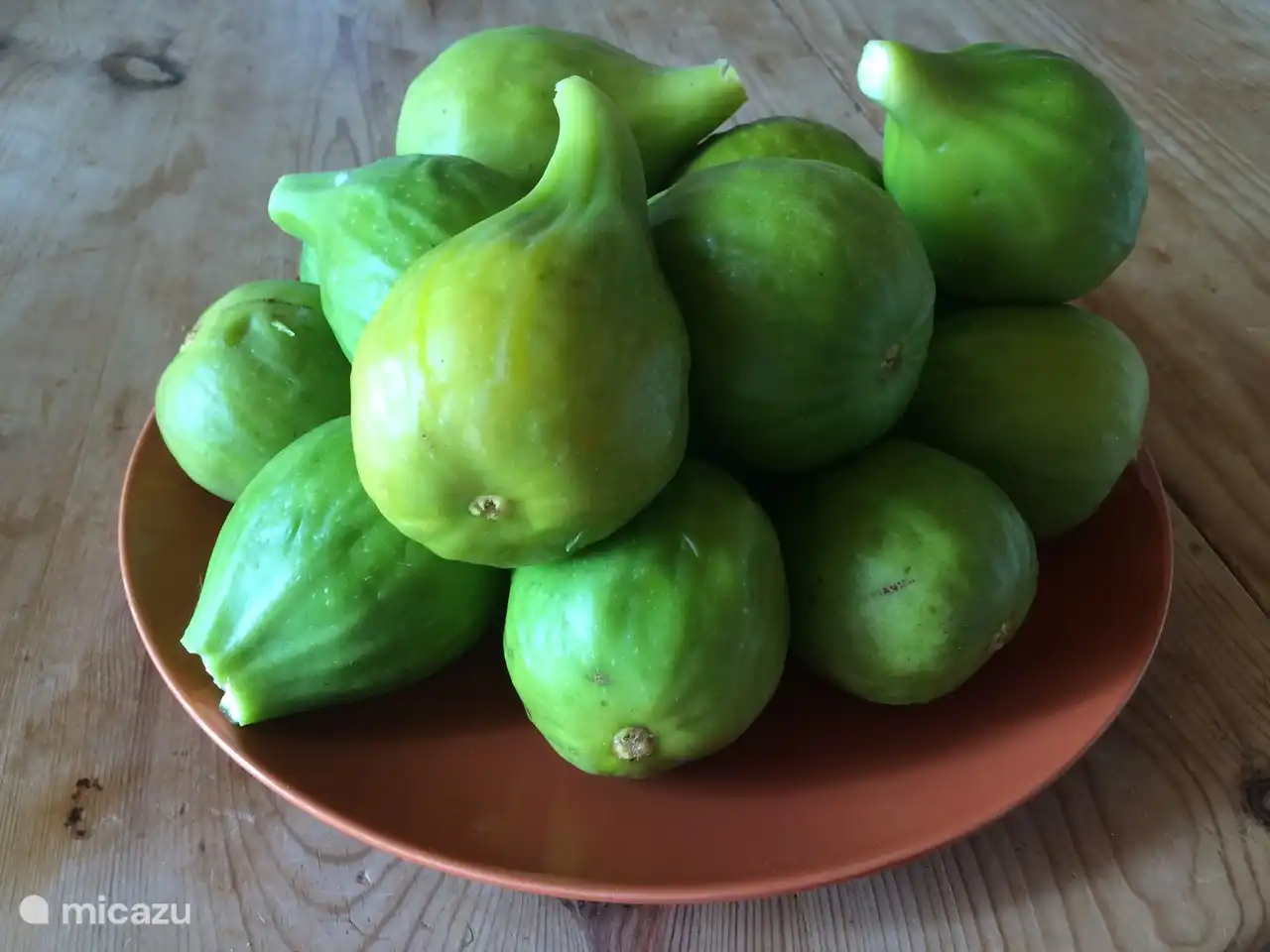 Eat until you can't eat the delicious fresh figs