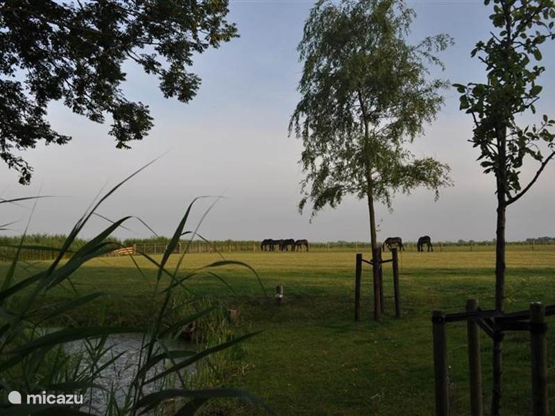 Holiday home in Netherlands, Friesland, Vrouwenparochie Apartment `Romte` Pension Bakker