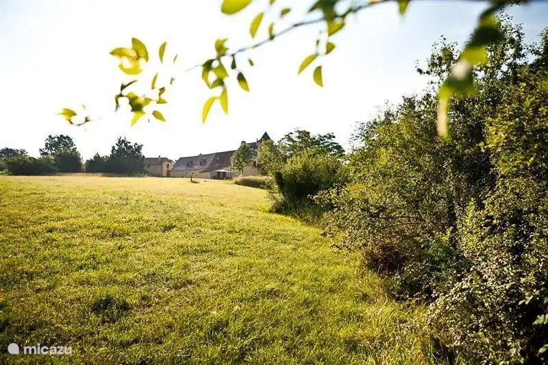 Vista desde el campo abierto