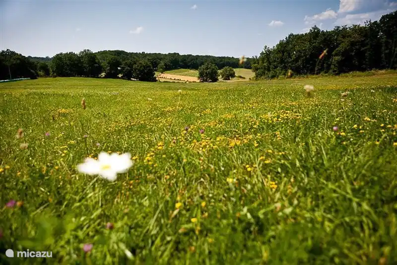 Vista sobre el oeste