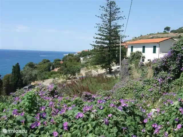 Villa 8 personnes BloemenRiviera | Italie, Ligurie, Piani Cipressa - villa Vue latérale de la maison sur la colline. La mer Méditerranée à portée de main.