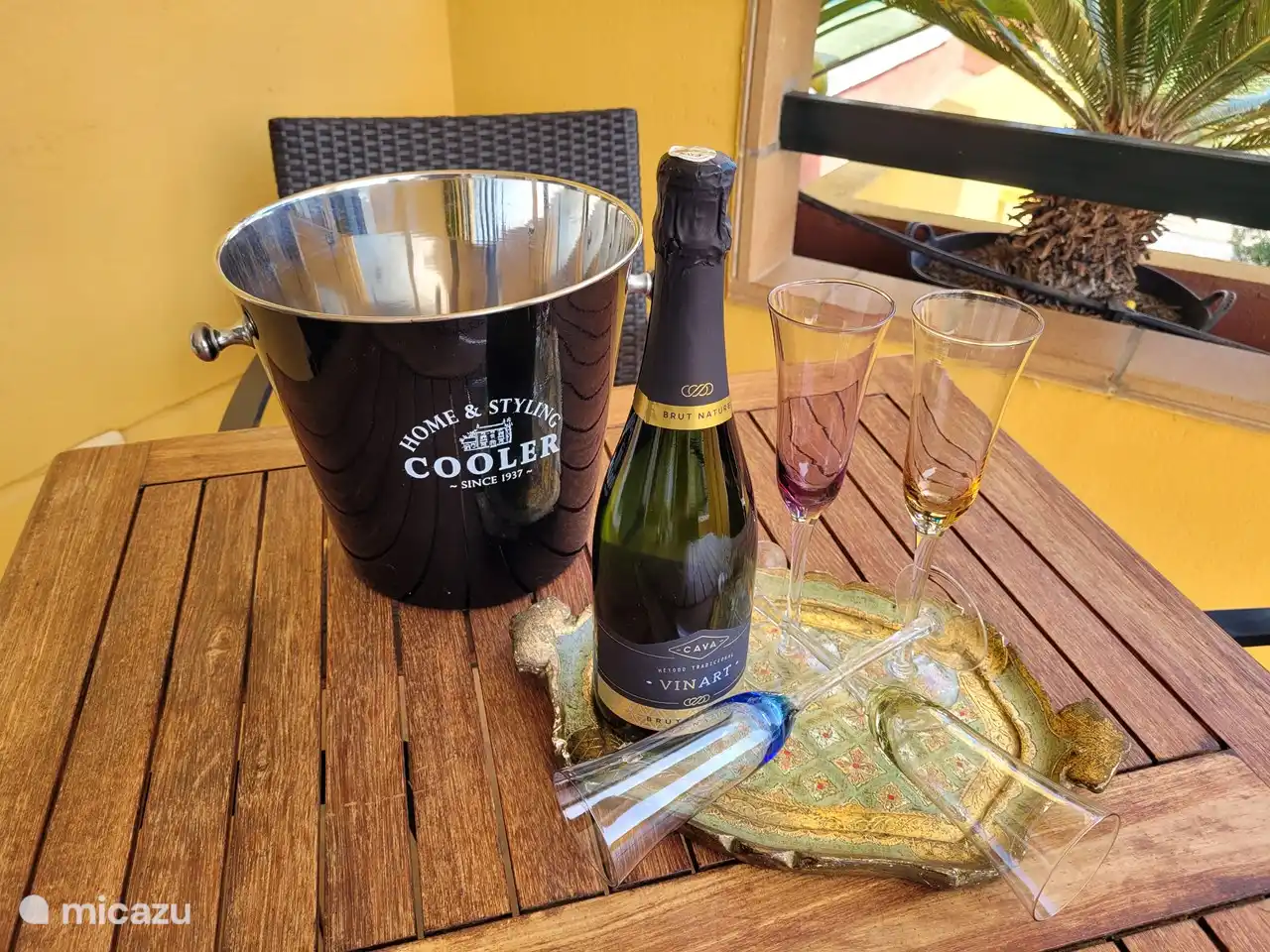 Nous aimerions vous accueillir avec un délicieux Cava sur la terrasse !
