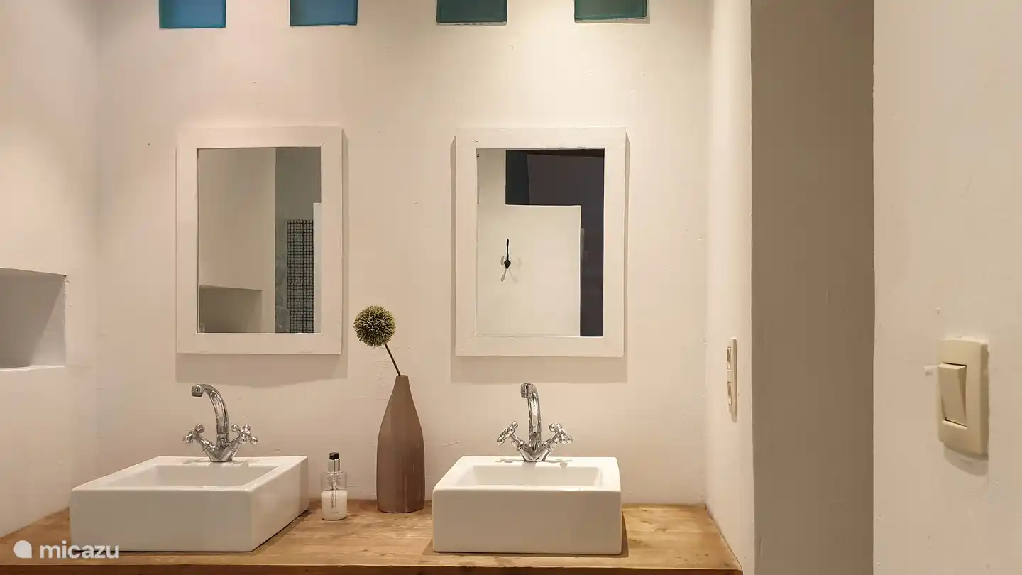 Anémone de salle de bain.