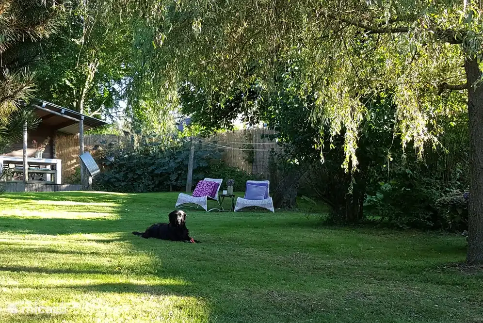 Jardin