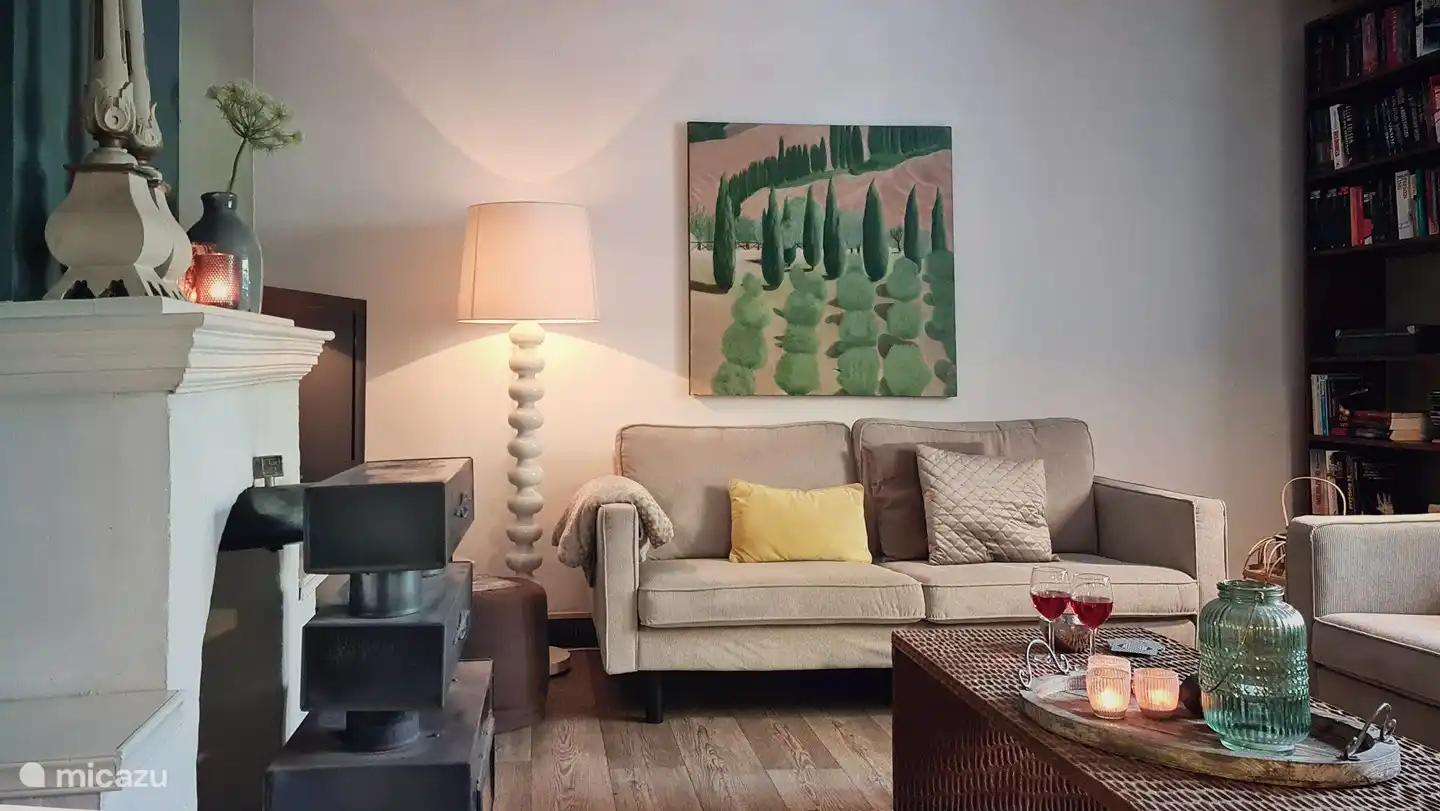 Lire un livre, ou regarder la télévision. deux canapés confortables, un fauteuil Barcelone. sont prêts.