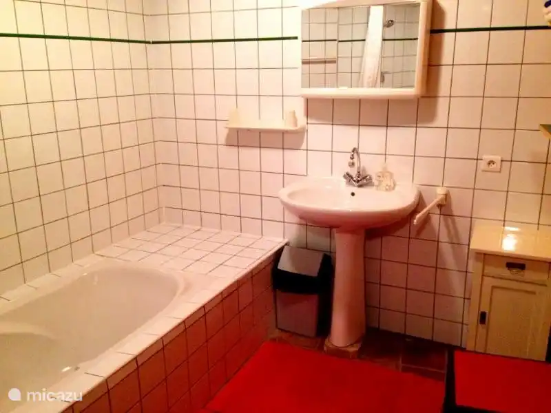 De badkamer op de begane grond met ligbad.