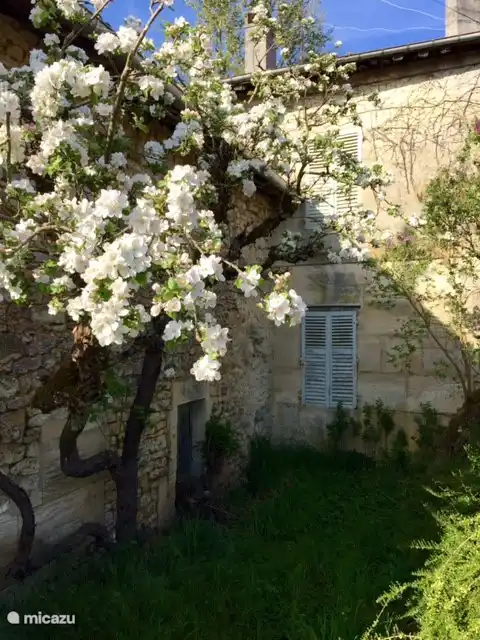 Prachtig hoekje ergens in het dorp.