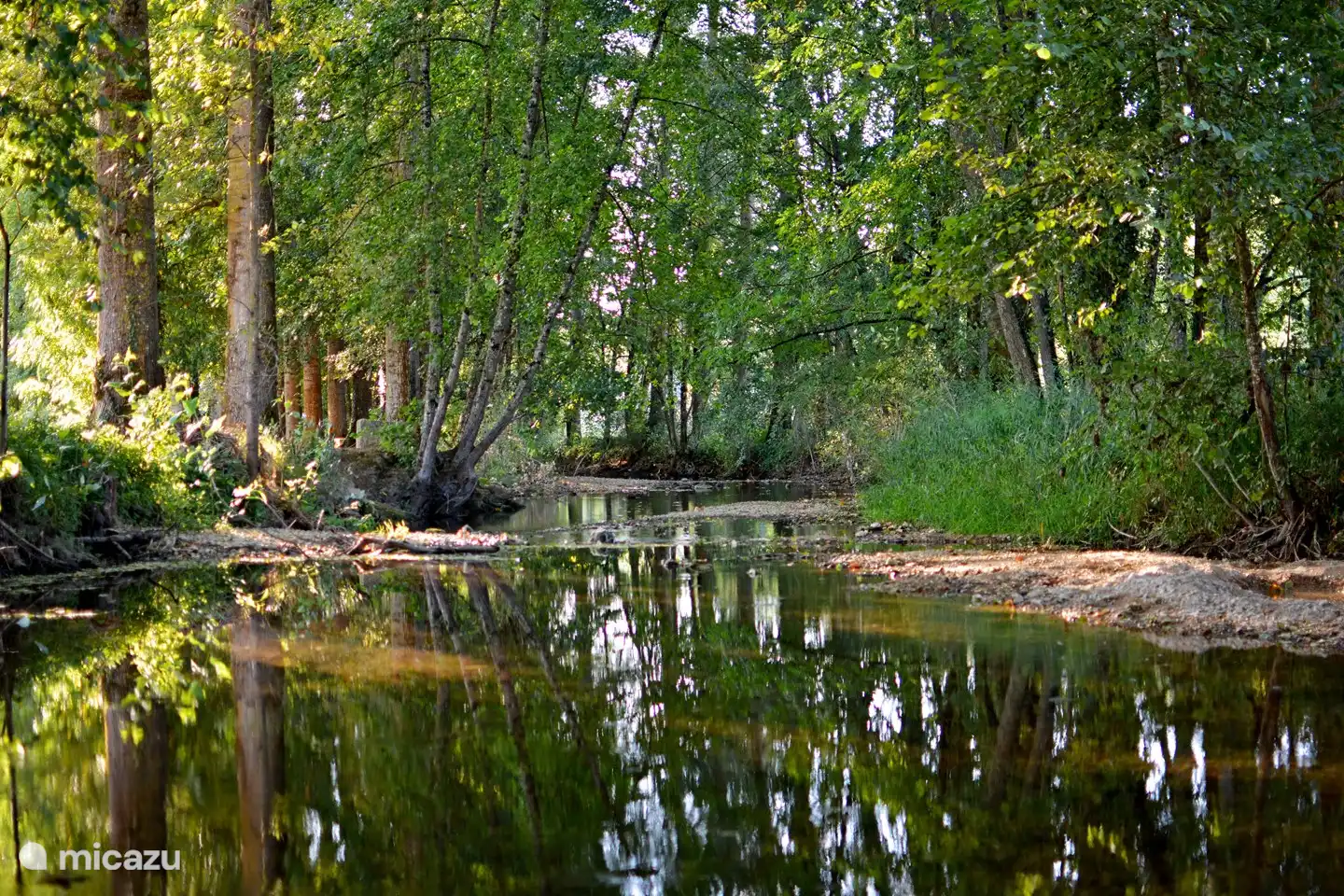 De rivier La Saulx stroomt langs het dorp.

Met dank aan Mickael Martinez, amateurfotograag in Lavincourt