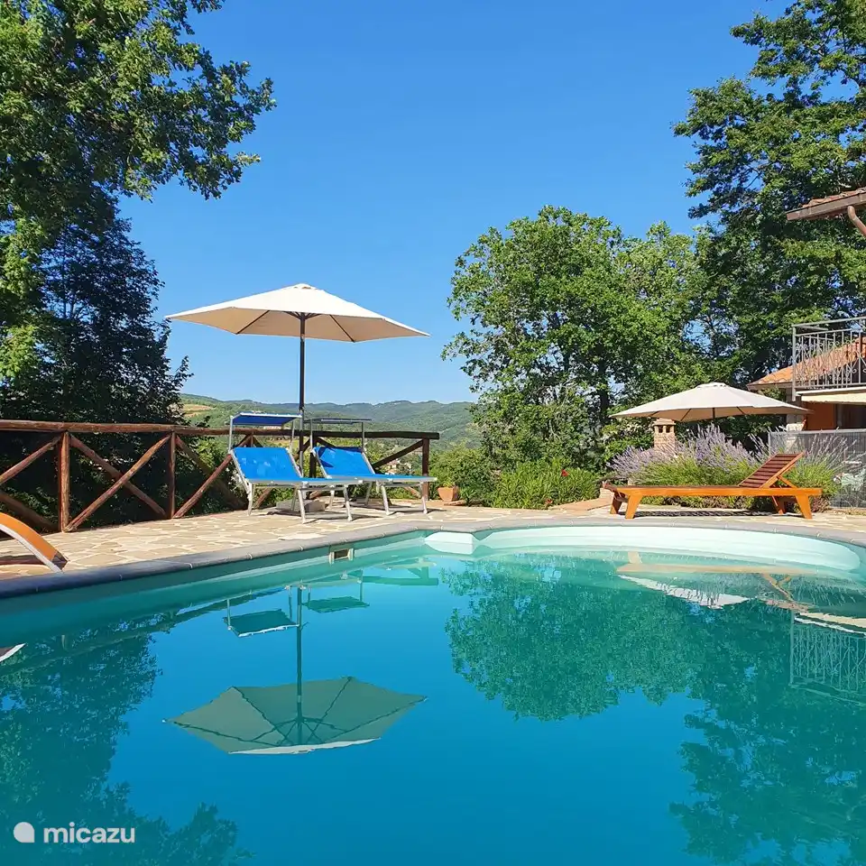 The pool at the house