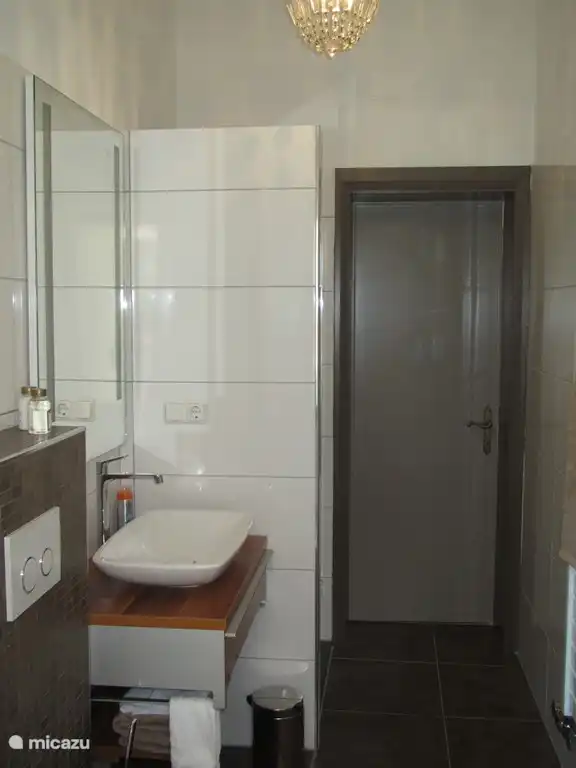 New bathroom upstairs with walk-in shower and bath