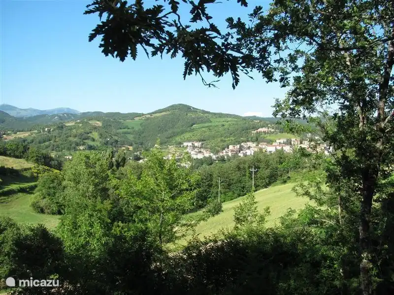 View from the terrace