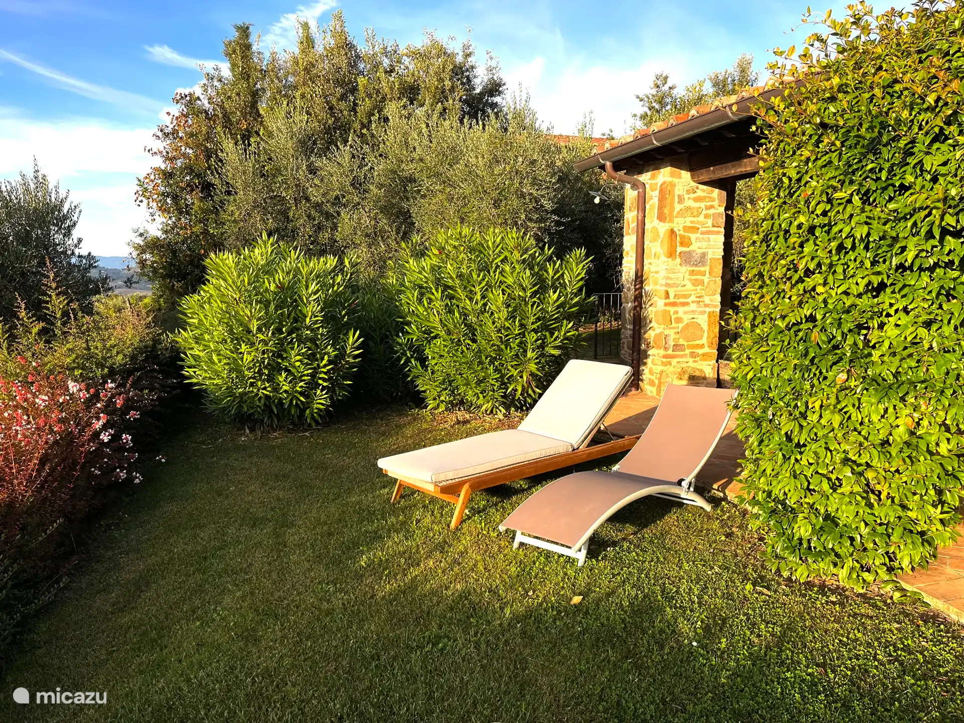 Rellena los espacios en blanco tú mismo ??