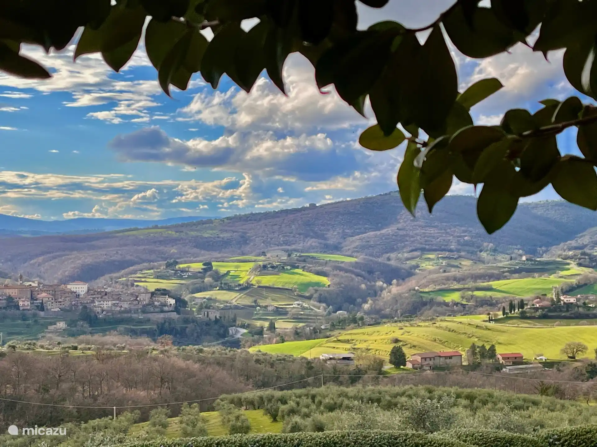 Vista desde el pórtico
