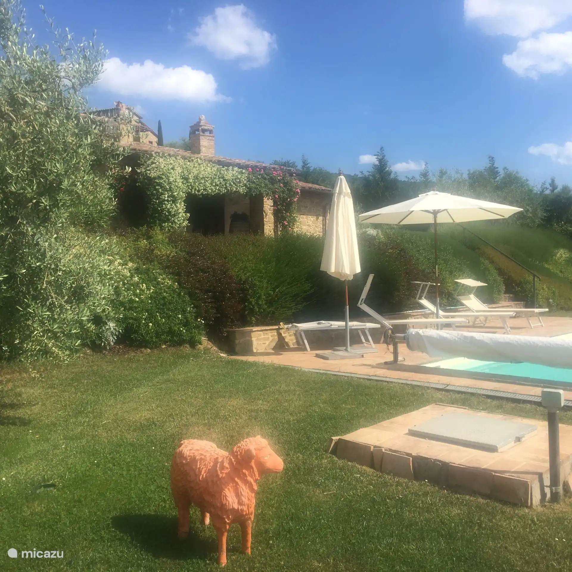 Desde una perspectiva diferente