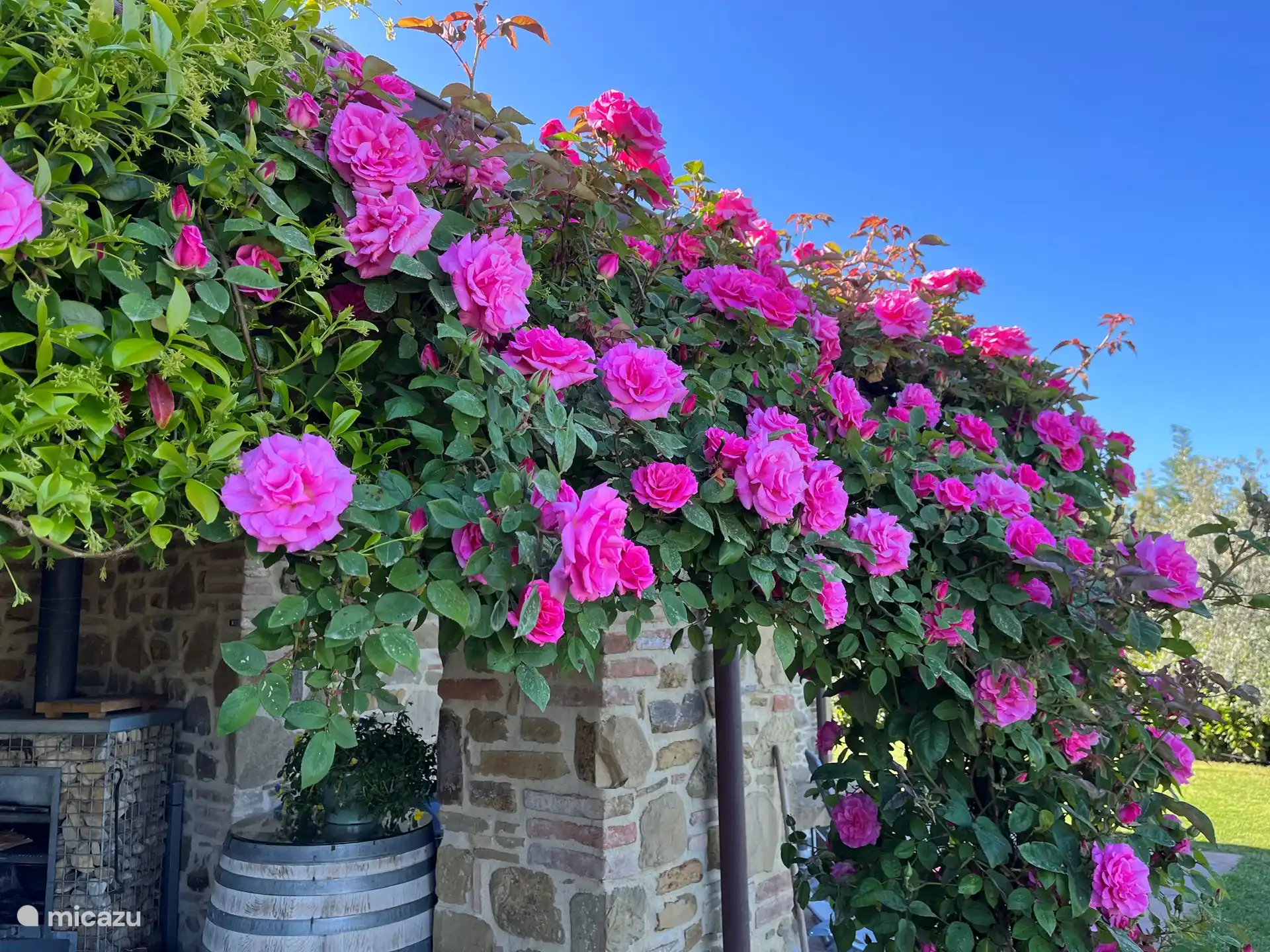 Primavera en Piegaro (nuestra terraza)