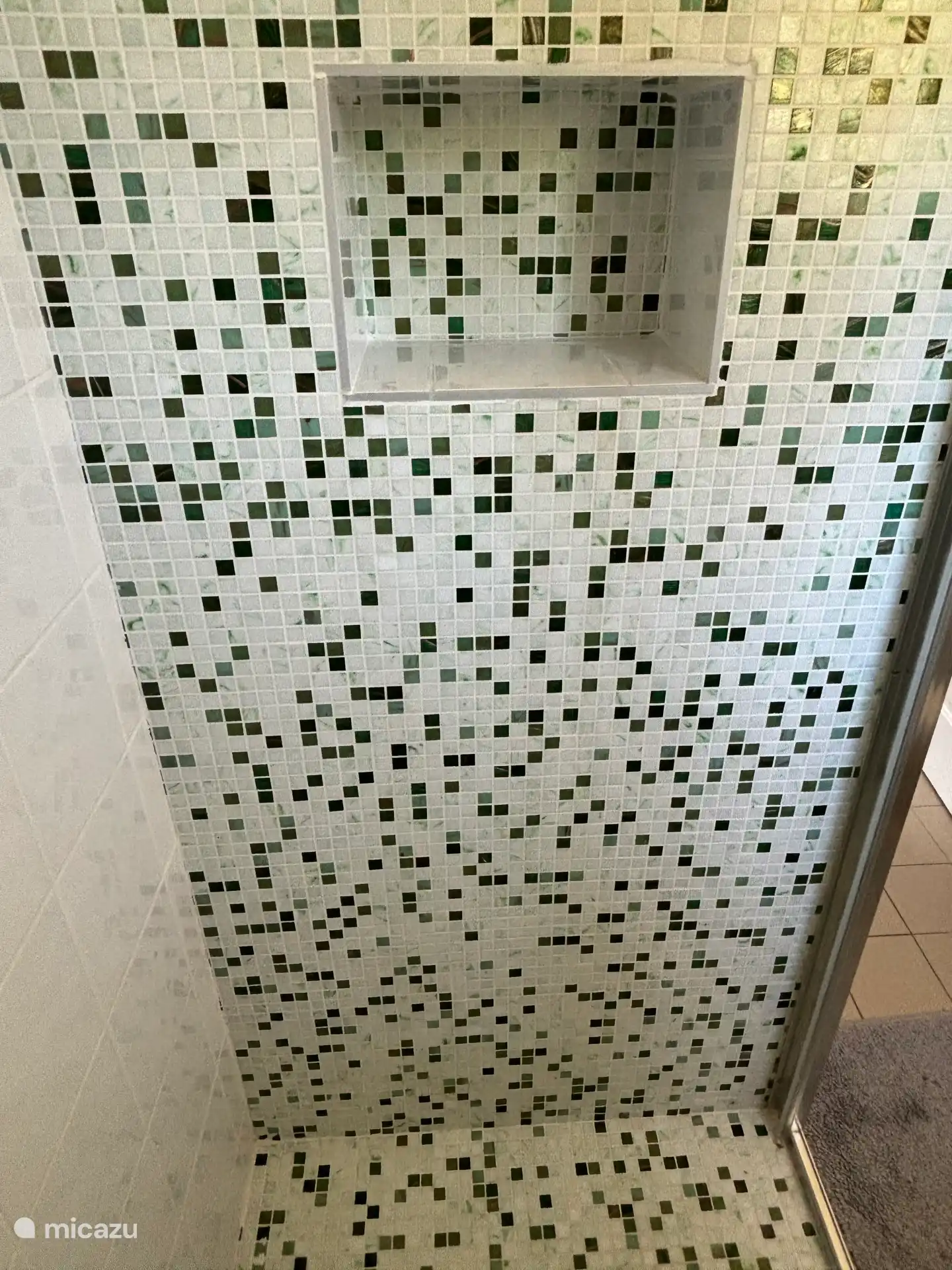 Designer shower enclosure