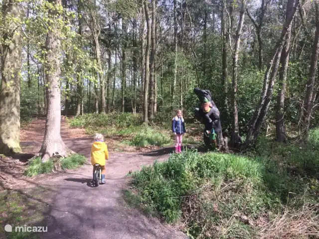 Pas de stress | Pays-Bas, Frise, Sint Nicolaasga - maison de vacances Chemin de lutin.