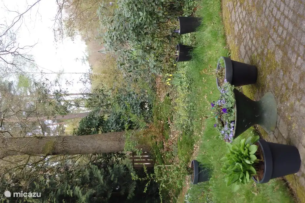 Wenn du diesem Pfad folgst, kommst du zum Gartentor; der Zugang zum Wald ...